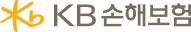 KB손해보험